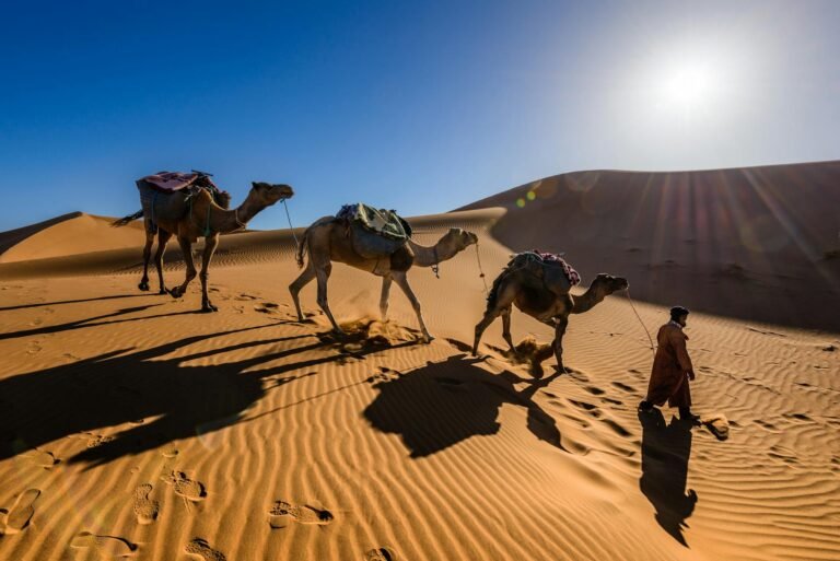 Marrakesh Travel desert adventure featuring a camel caravan crossing golden sand dunes in the Moroccan Sahara