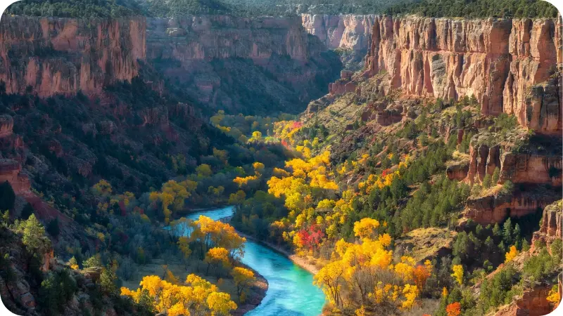 Little River Canyon autumn foliage for Alabama hidden gems