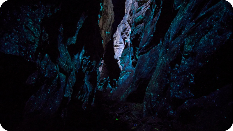 Dismalites glowing in Dismals Canyon for Alabama hidden gems
