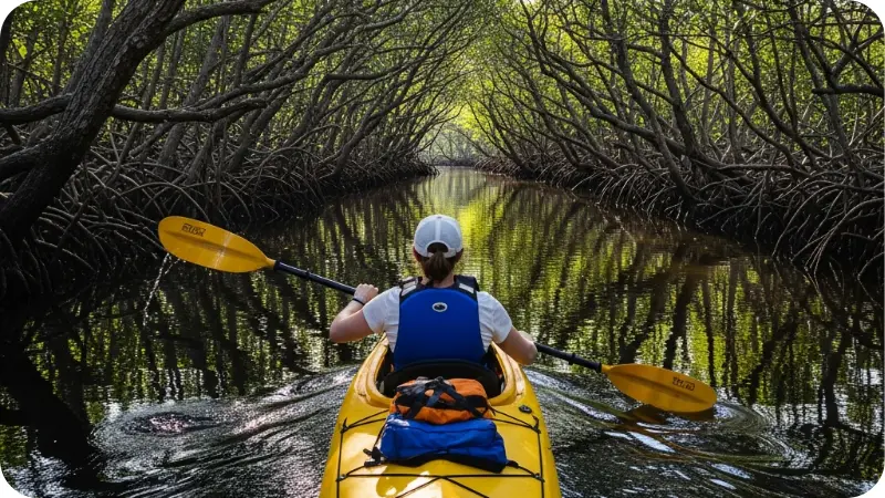 Kayaking mangrove tunnel Everglades for Florida travel